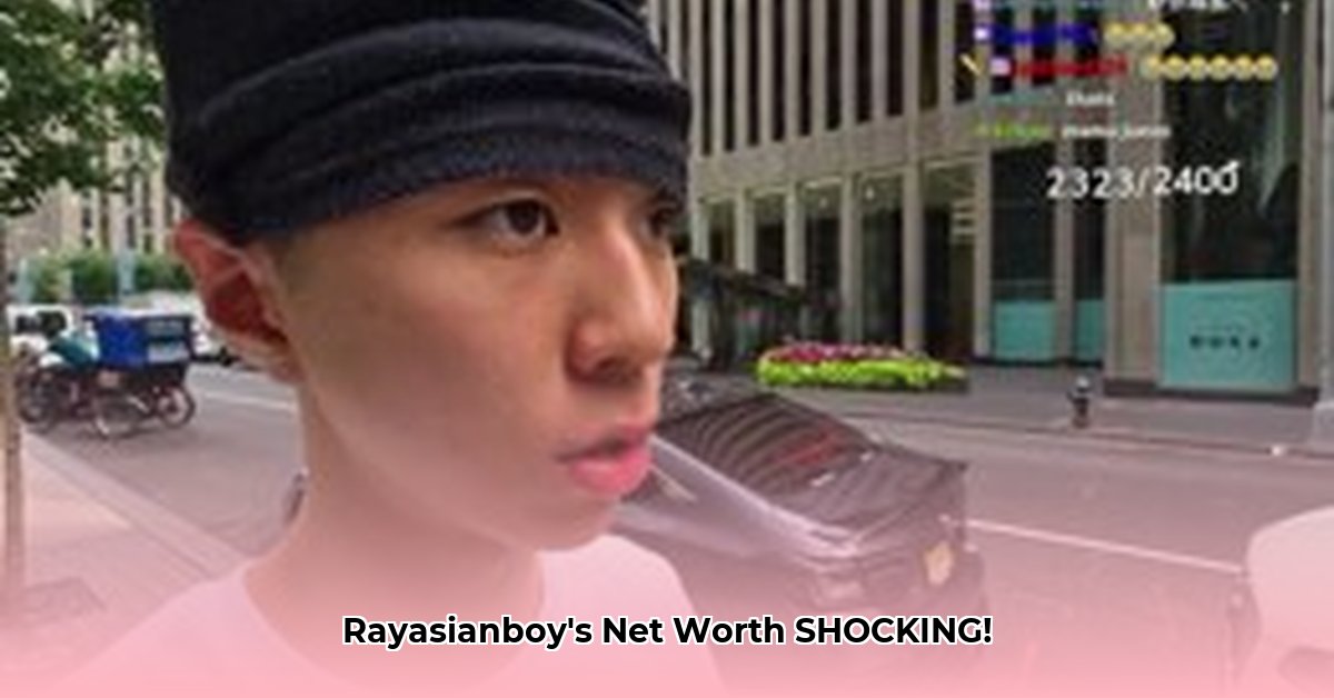 rayasianboy-net-worth